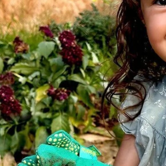 Miracle-Gro Kids' Garden Tool Set & 6 Packs Of Flower-Vegetable Seeds FIRM PRICE - Picture 4 of 4